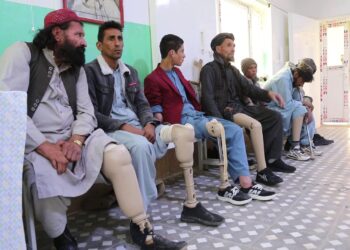 هرات کې د سره صلیب اورتپیدي څانګه هره ورځ ۲۰ تنو ته خدمات وړاندې کوي