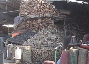 هرات کې د هوا سړېدو سره هم‌مهاله د سون توکو بیې لوړې شوې دي