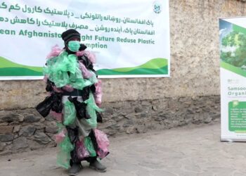 د چاپېریال ساتنې اداره: پلاسټیکي کڅوړې چاپېریال ککړوي او روغتیايي ستونزې زیږوي