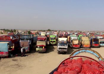 سوداګرۍ وزارت: له نړۍ سره د افغانستان سوداګري نږدې ۱۴ میلیارد ډالرو ته رسېدلې