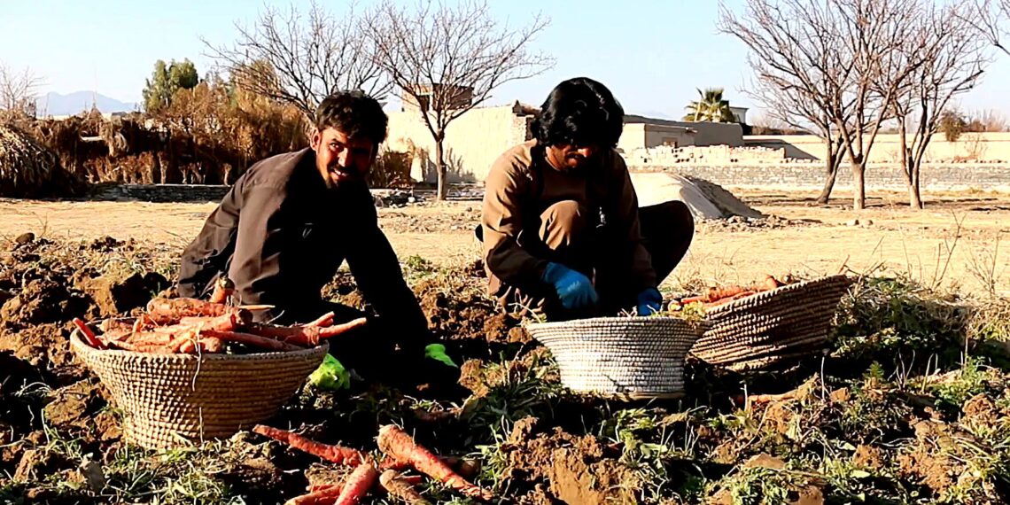 خوستي کروندګر د ګازرو  پروسېس برخه کې د فابریکو غوښتنه کوي
