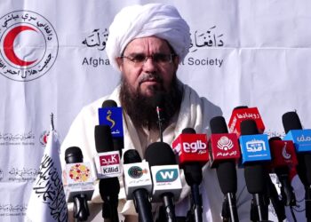 دلاور: د کډوالو راتګ به د افغانستان د پرمختګ سبب شي