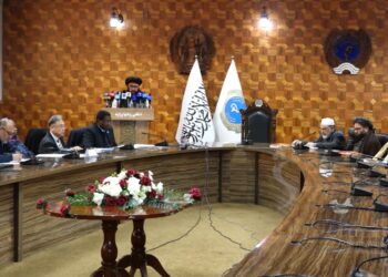 عامې روغتيا وزارت: هېواد کې نږدې ۵ ميليونه ماشومان او مېرمنې په خوارځواکۍ اخته دي