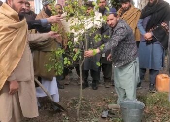 ننګرهار کرنې ریاست: روان کال به ۴.۷  میلیونه نوي نیالګي کېنول شي