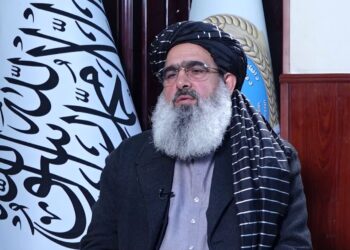 جلالي: هند د افغانستان لپاره د درملو برخه کې د پاکستان ښه بدیل دی