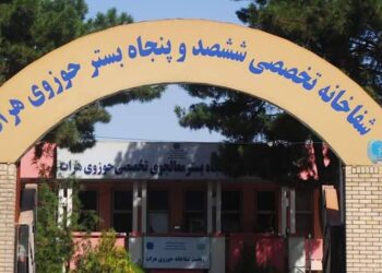 حوزوي روغتون: هرات کې د ماشومانو تنفسي ناروغۍ ډېرې شوې دي