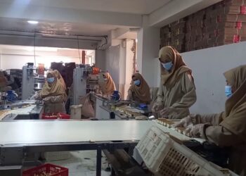 چارواکي: تېر میلادي کال هرات کې یونیم میلیارد ډالره پانګونه شوې