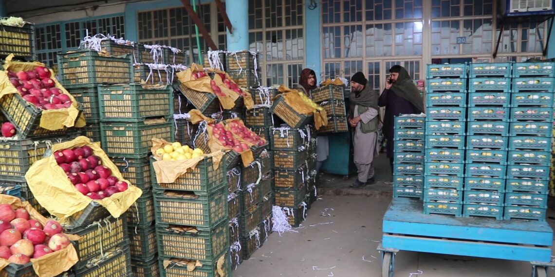 هرات کې د تازه مېوې کاروباریان: د تازه مېوو لپاره مو نوې لارې او بازارونه موندلي