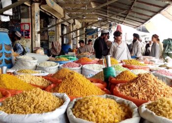 د هلمند خلک: د خوراکي توکو لوړې بیې نور د زغملو نه دي