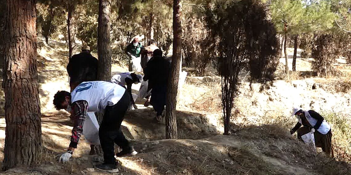 د وزیرمحمد اکبرخان تپې پارک پاکولو لپاره عمومي حشر ترسره شو