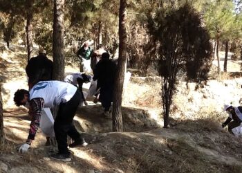 د وزیرمحمد اکبرخان تپې پارک پاکولو لپاره عمومي حشر ترسره شو