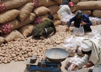 پښتونخوا کې د تازه مېوو بازارونه په ټپه درېدلي او زرګونه کسان بې روزګاره شوي