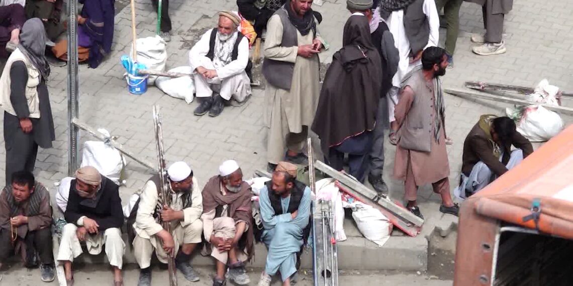 حکومت: روان کال ۸۲ زره افغان او بهرنیو وګړو ته د کار جوازونه ورکړل شوي