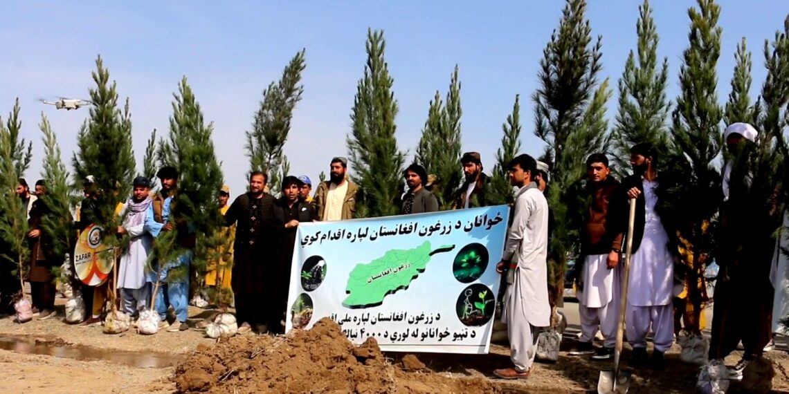 د خوست په تڼیو کې د نیالګیو کېنولو حشر پيل شو