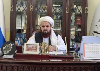 روسیه کې د ا.ا سفیر د شانګهای همکاریو سازمان کې د افغانستان فعال ګډون په اړه د چمتووالی ډاډ ورکړی