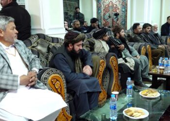 د غاليو توليدوونکو او صادروونکو اتحاديه له حکومت د خپلو ستونزو حل غواړي