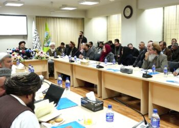 منصور: ملي او نړیوالې موسسې باید پراختیايي پروژې له وزارت سره په همغږۍ پلې کړي