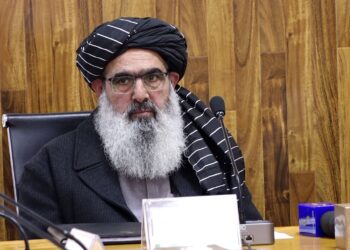 جلالي: ځینو ولایتونو کې ماشومان لاهم د ګوزڼ بشپړ واکسین ته لاسرسی نه لري