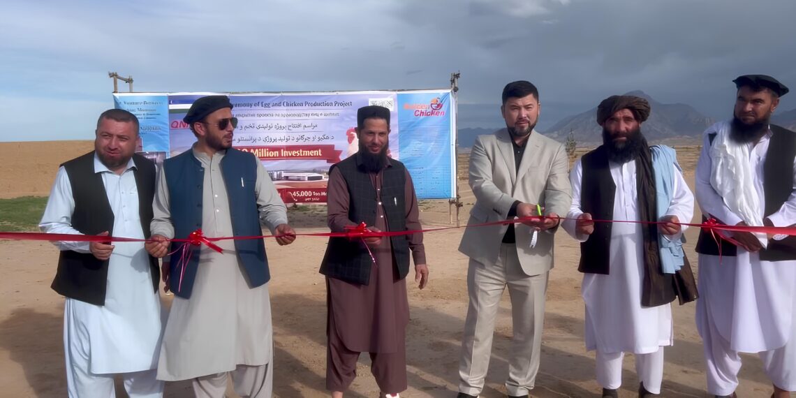 Construction Begins on $60 Million Joint Poultry Farm Investment in Balkh