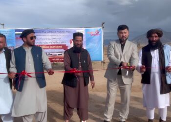 Construction Begins on $60 Million Joint Poultry Farm Investment in Balkh