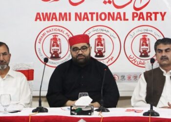 اېمل ولي خان: په نا امنیو کې ښکېل وسله وال د پاکستان پوځ روزلي دي