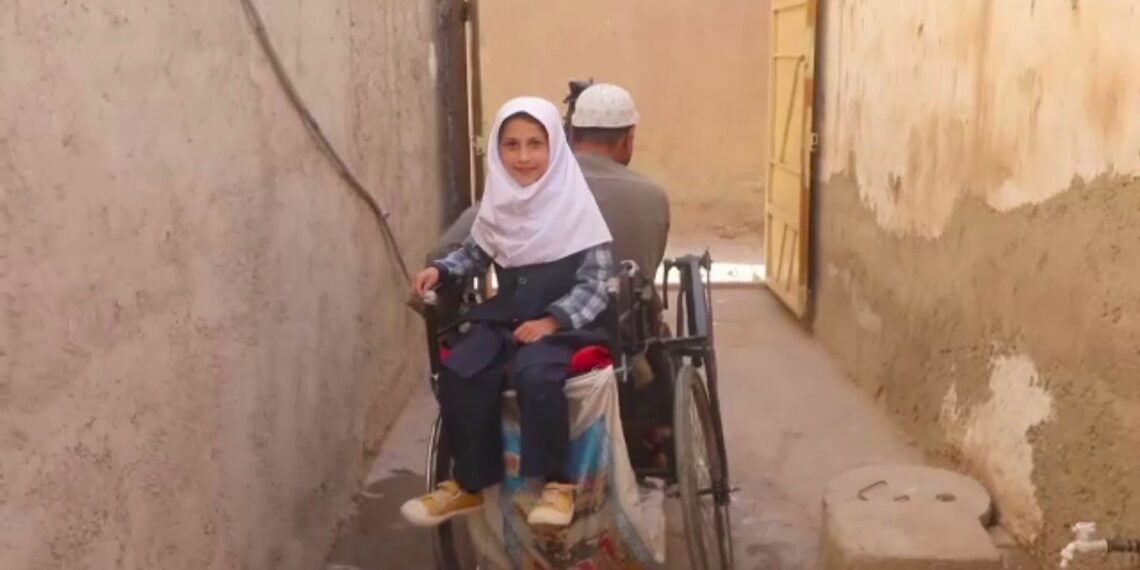 له زده کړو سره د خلکو مینه؛ معلول پلار خپله لور تر ښوونځي په ویلچر کې بیايي