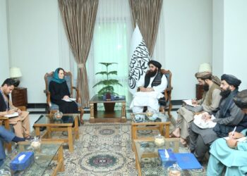 متقي: نړیوالو سازمانونو کې د افغانستان استازولي د افغان ولس او حکومت حق دی