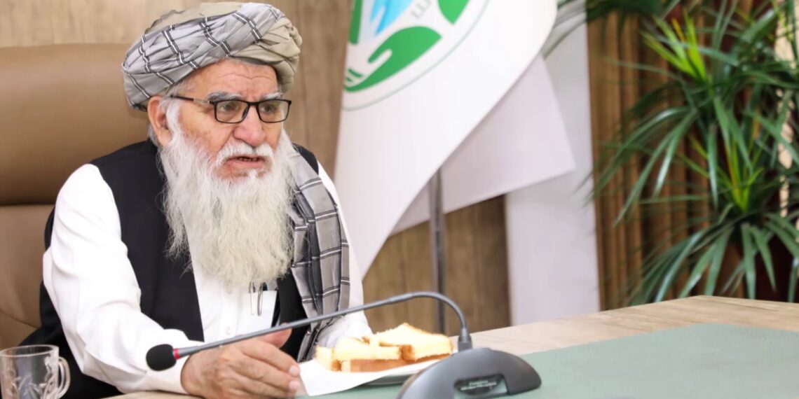 د چاپیریال ساتنې عمومي اداره: ټول هېواد کې له ۱۵ میلیونه ډېر نیالګي کېنول شوي