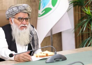 د چاپیریال ساتنې عمومي اداره: ټول هېواد کې له ۱۵ میلیونه ډېر نیالګي کېنول شوي