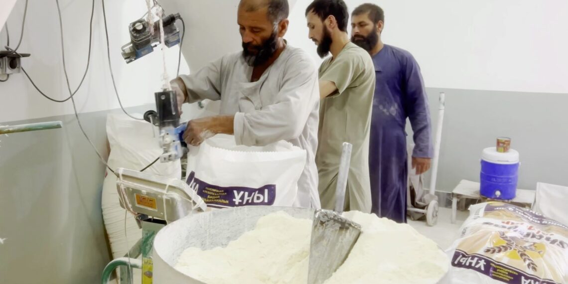 بلخ کې د اوړو ۵۰ کارخونې هره ورځ ۶۵۰۰ ټنه اوړه تولیدوي
