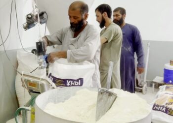 بلخ کې د اوړو ۵۰ کارخونې هره ورځ ۶۵۰۰ ټنه اوړه تولیدوي