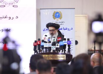 عامې روغتیا وزارت د روغتیا سکټور لپاره پنځه کلنه سټراټیژي اعلان کړه