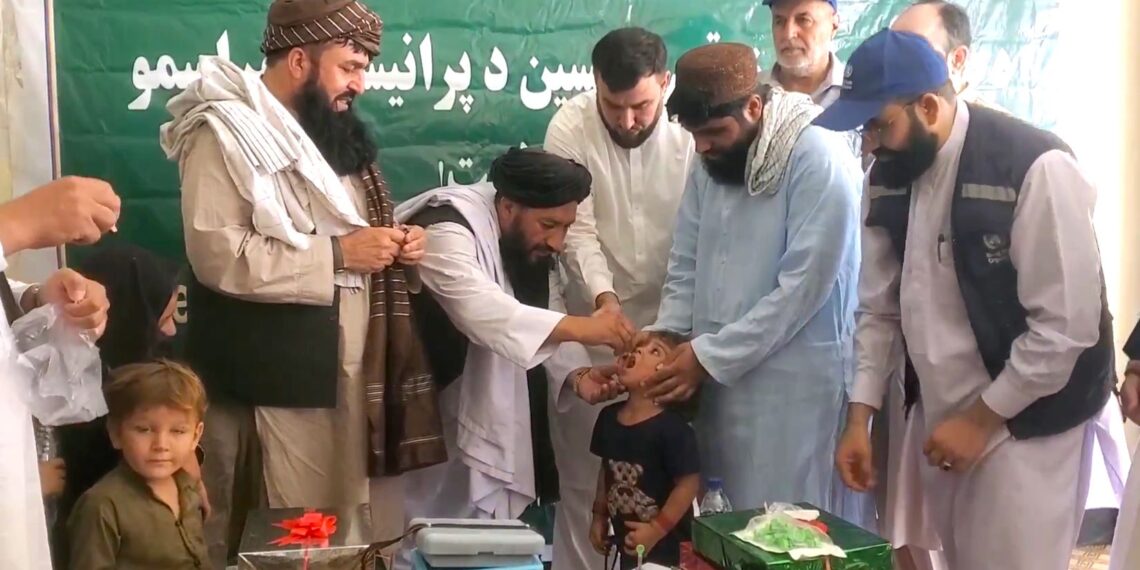 روان کال ننګرهار کې د ګوزڼ پنځه مثبتې پېښې ثبت شوې دي