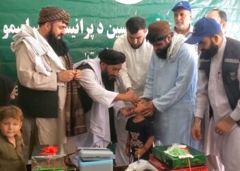 روان کال ننګرهار کې د ګوزڼ پنځه مثبتې پېښې ثبت شوې دي