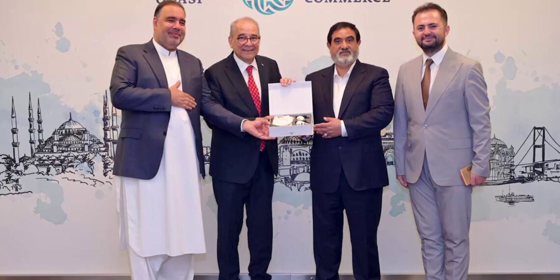 افغانستان او ترکیې د سوداګریزو اړیکو پر پراختیا ټینګار کړی